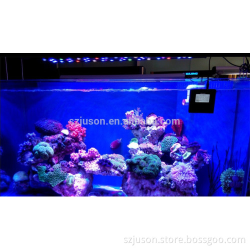 long lifespan aquarium led lighting helps algaes to grow more luxuriant led aquarium light